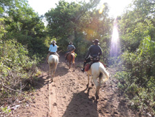 Brazil-Pantanal-Pantaneiro Ride in the Pantanal